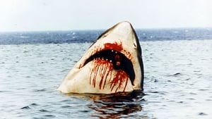 Az emberevő cápa háttérkép