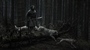 Vérfarkas háttérkép