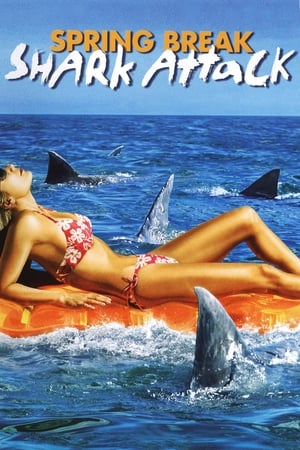 Gyilkos cápák - Veszedelmes vizeken poszter