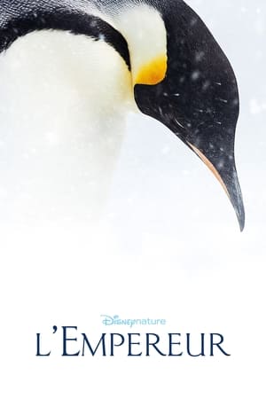 Pingvinek vándorlása 2. poszter