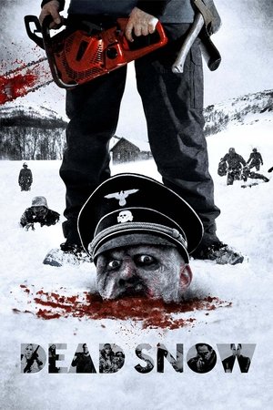 Náci zombik poszter