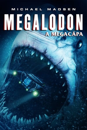 Megalodon - A megacápa