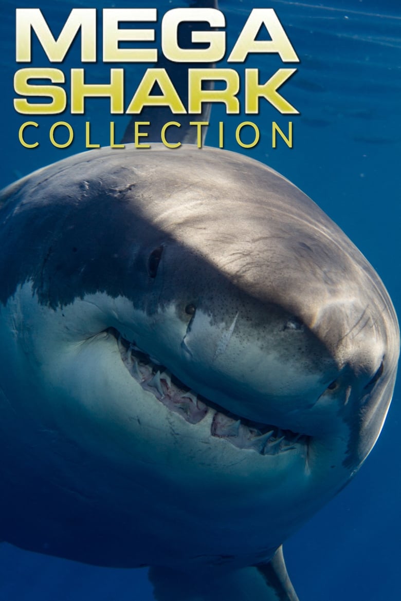 Mega Shark gyűjtemény
